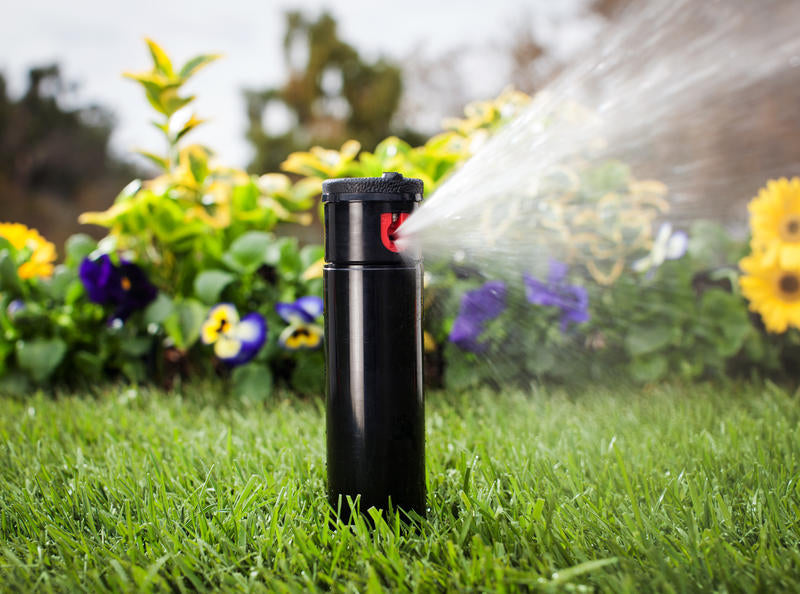 I-20 10cm | I20-04-NCV